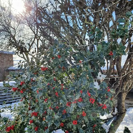 Holiday home Palomba Rural Espinilla