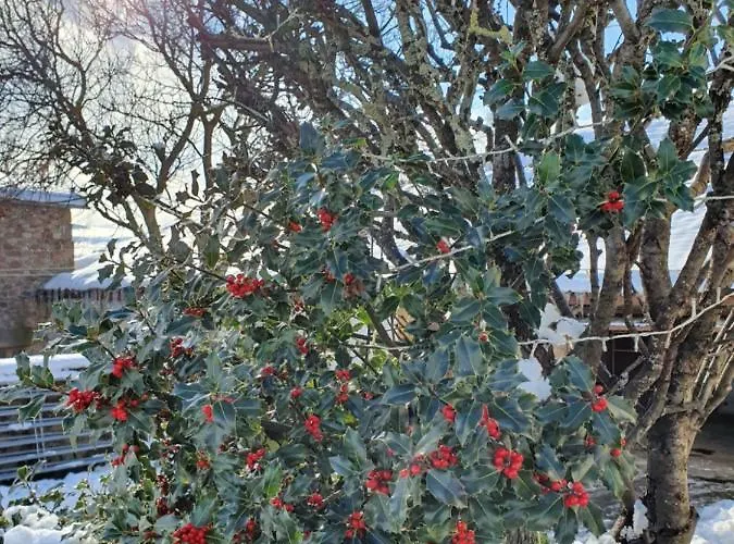 度假居 Palomba Rural Espinilla